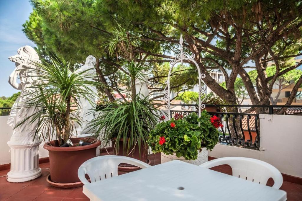Quadruple Room Terrace,1743003598:JPEG